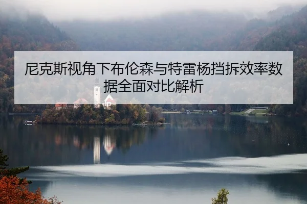 尼克斯视角下布伦森与特雷杨挡拆效率数据全面对比解析